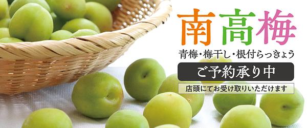 IY様お取置き　6/14 イトーヨーカドー 予約商品Web注文トップ - イトーヨーカドー Web注文